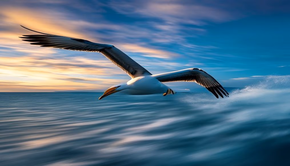 albatross gliding ocean in editorial style