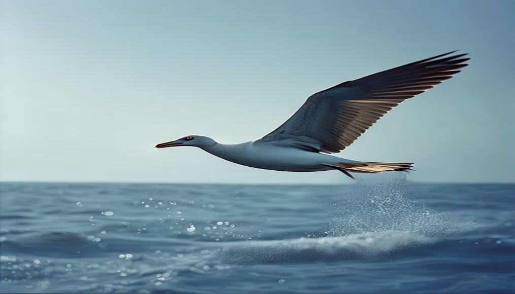 albatross gliding ocean in editorial style