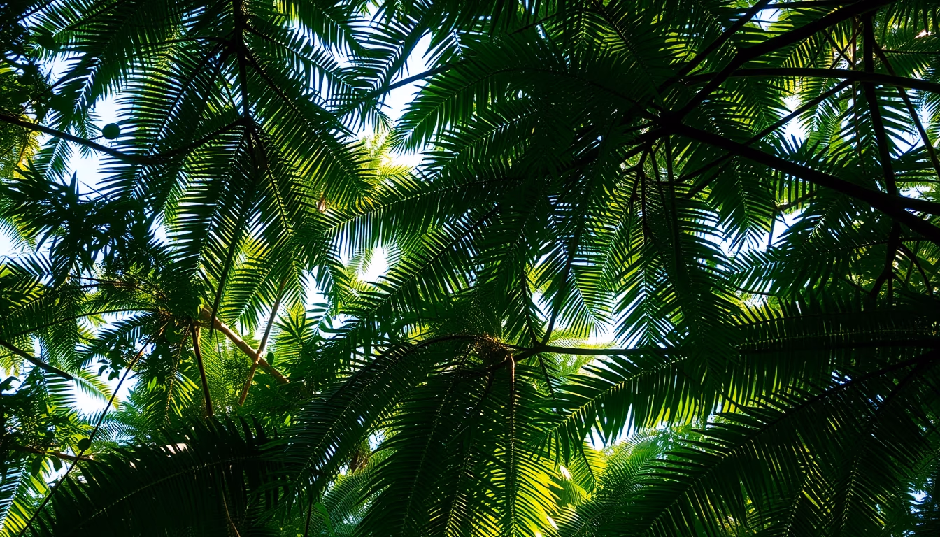 amazon rainforest canopy in editorial style