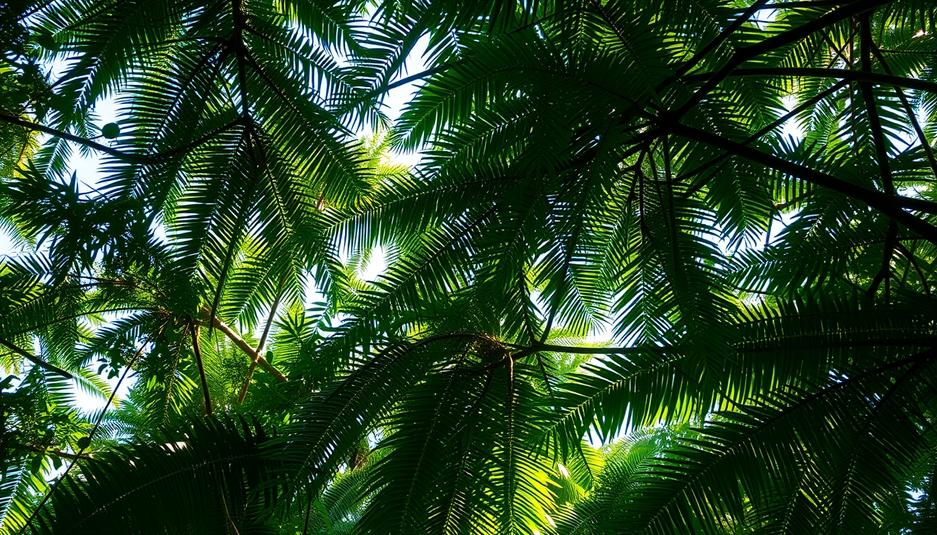 amazon rainforest canopy in editorial style