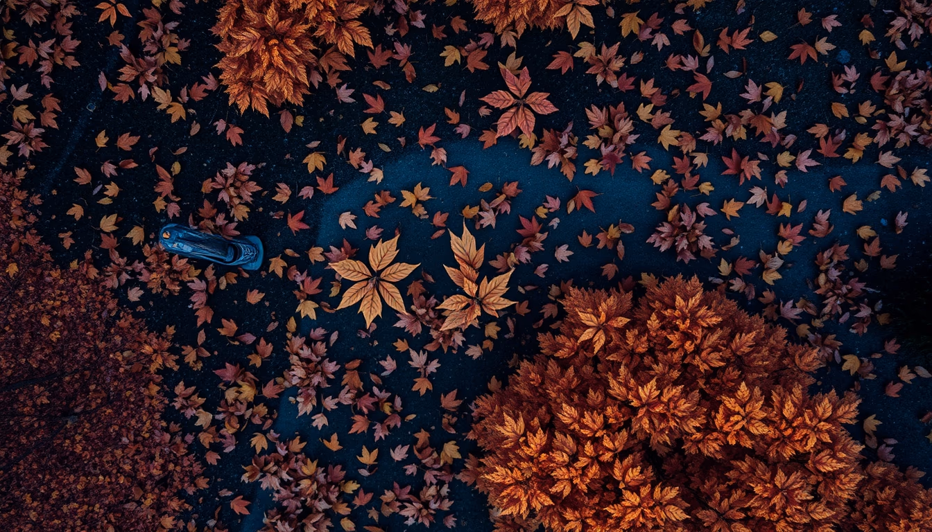 autumn leaves falling in editorial style