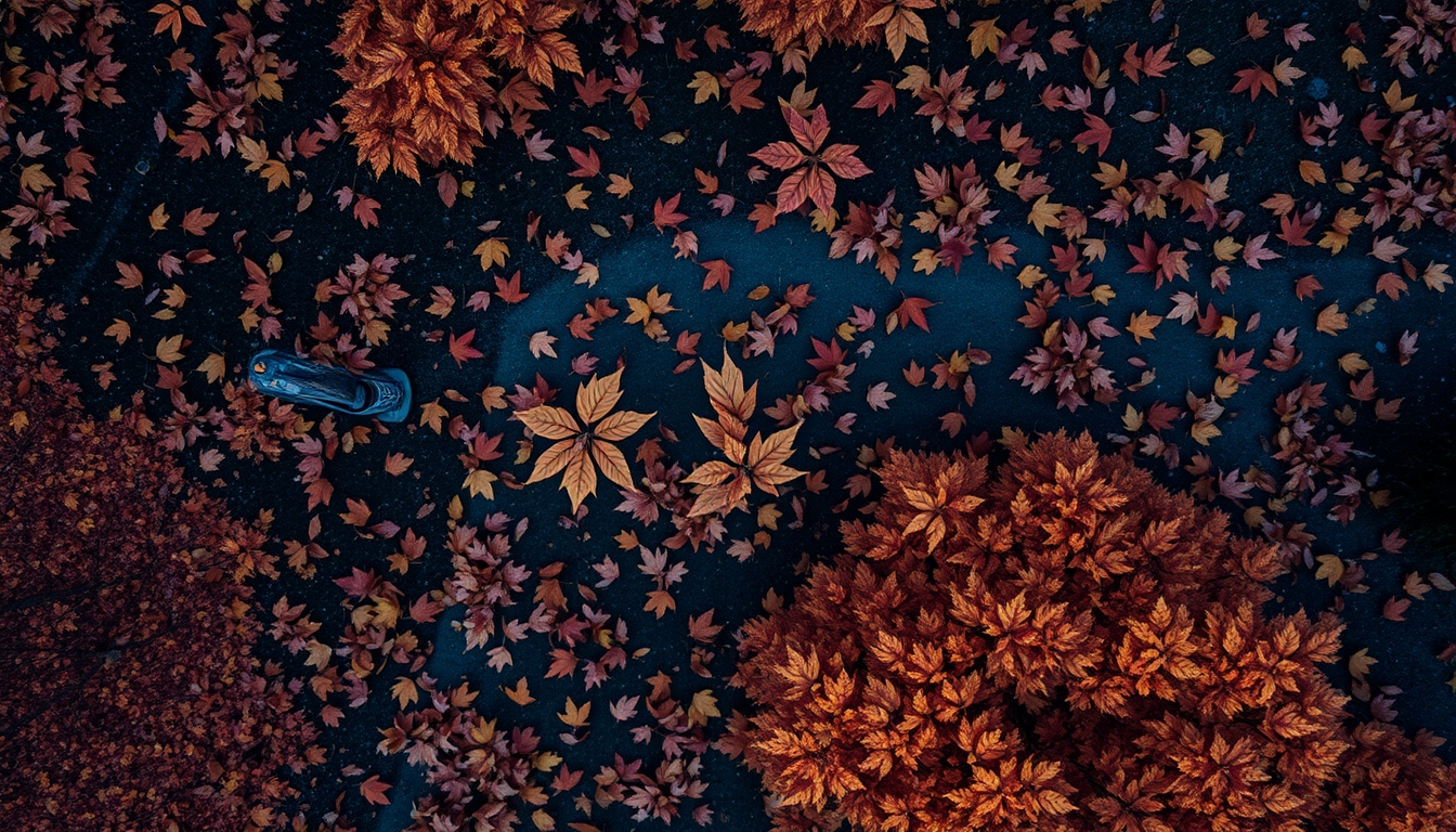 autumn leaves falling in editorial style