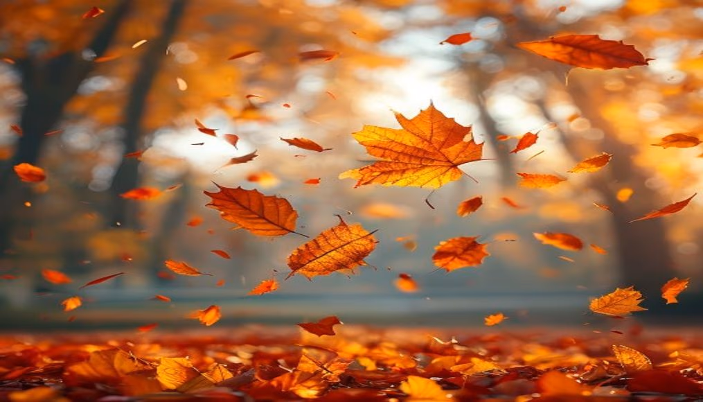autumn leaves falling in editorial style