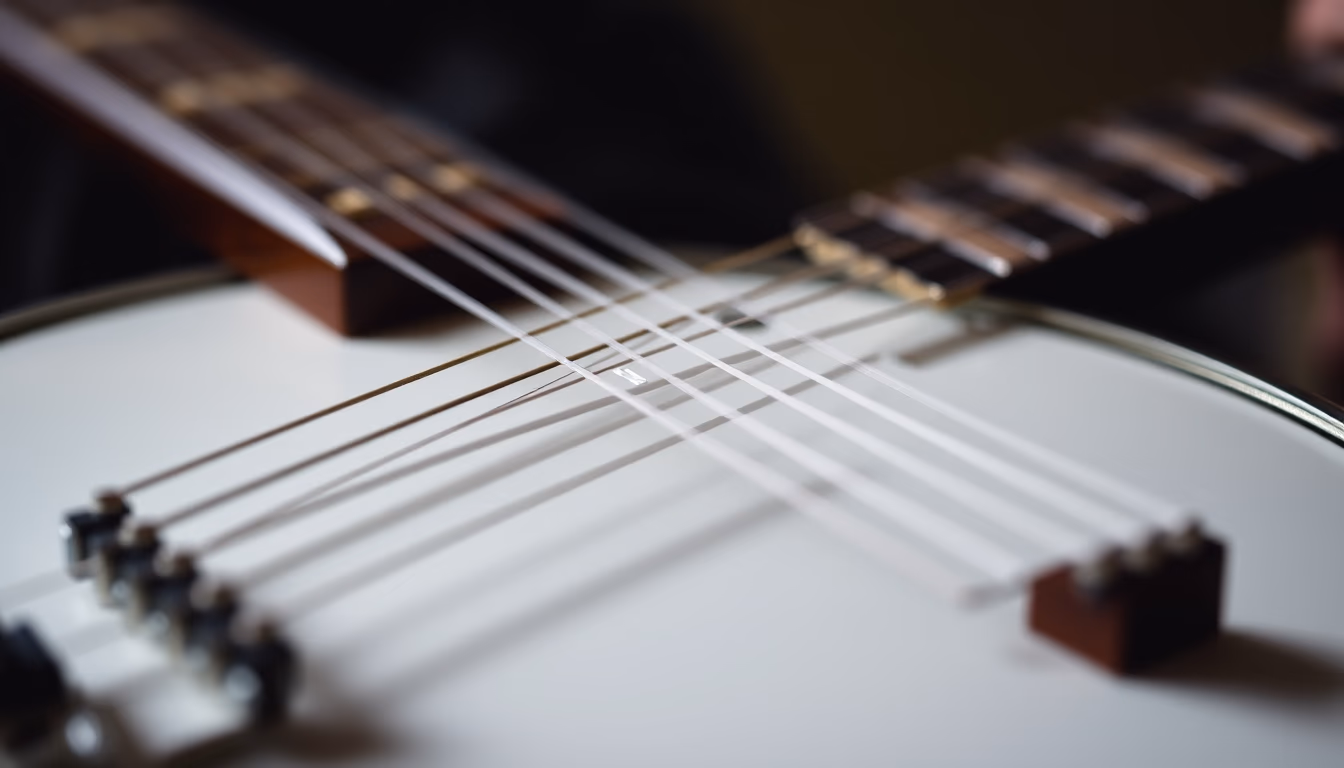 banjo five string in editorial style