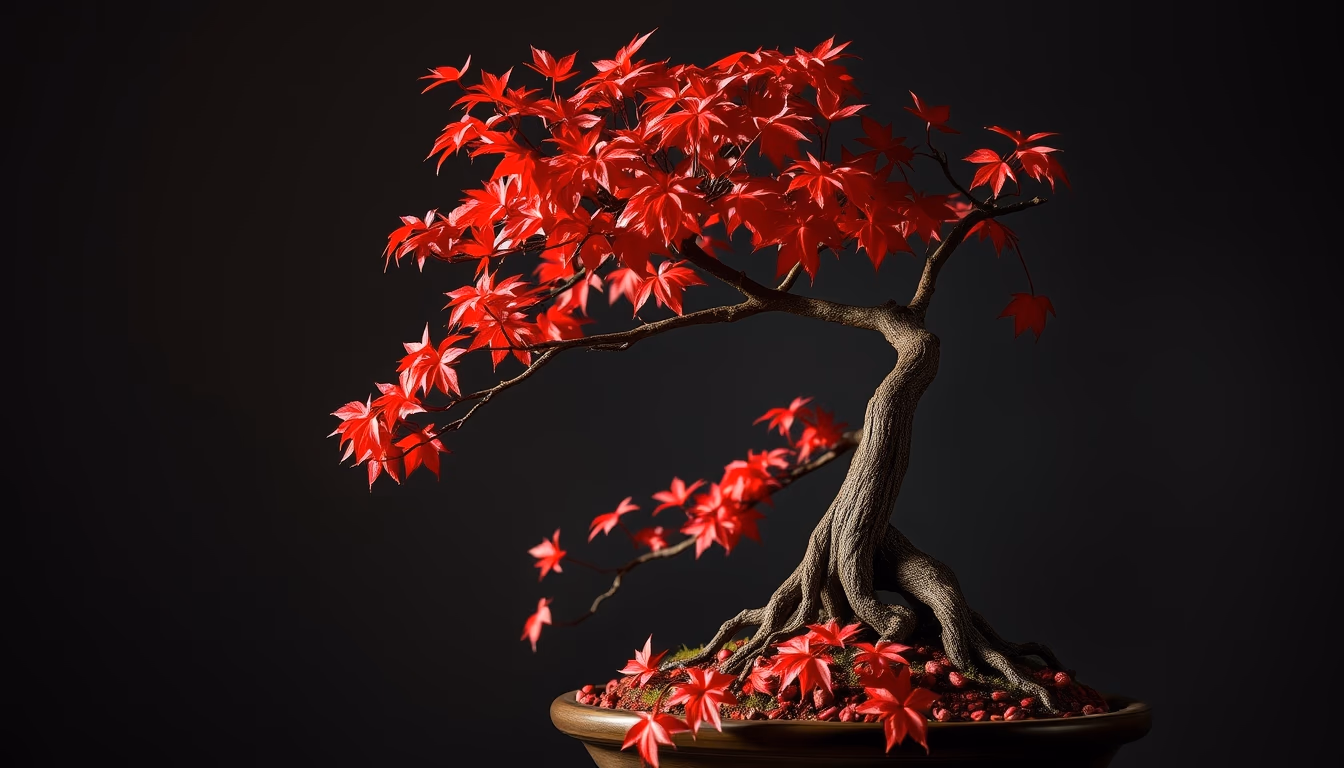 bonsai maple autumn red in editorial style