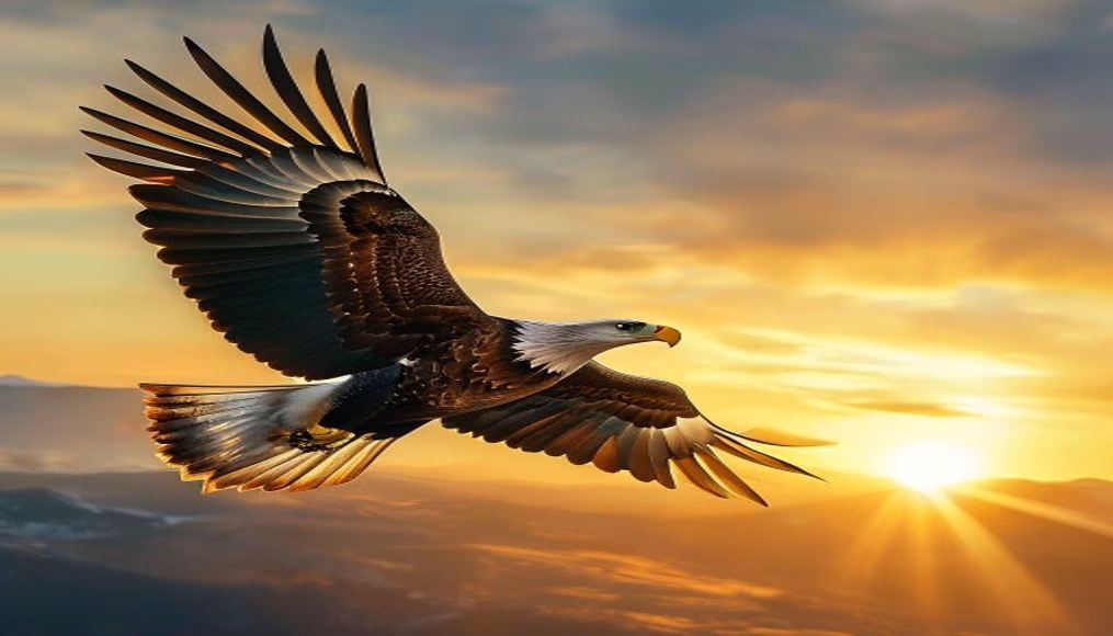 eagle soaring sky in editorial style