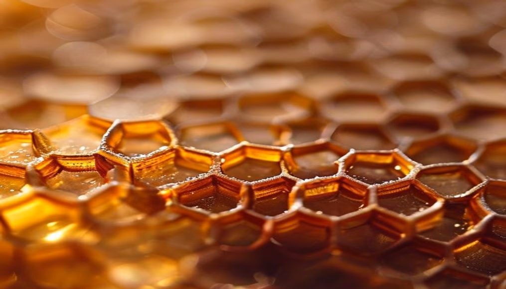 honeycomb hexagonal pattern in editorial style