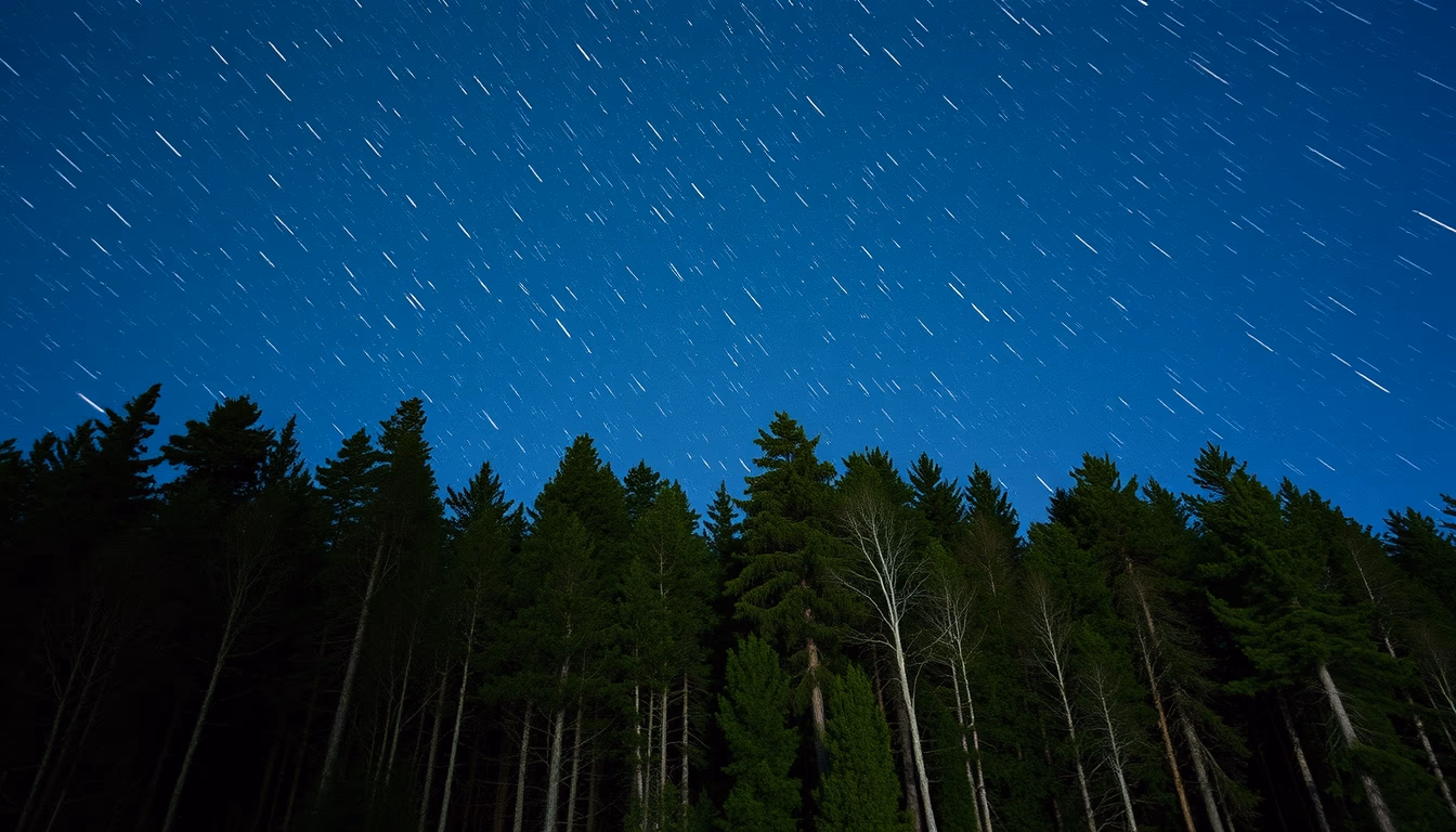 Meteor shower over forest em estilo editorial
