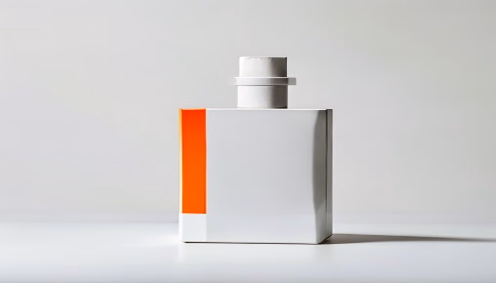 modernist le corbusier in editorial style