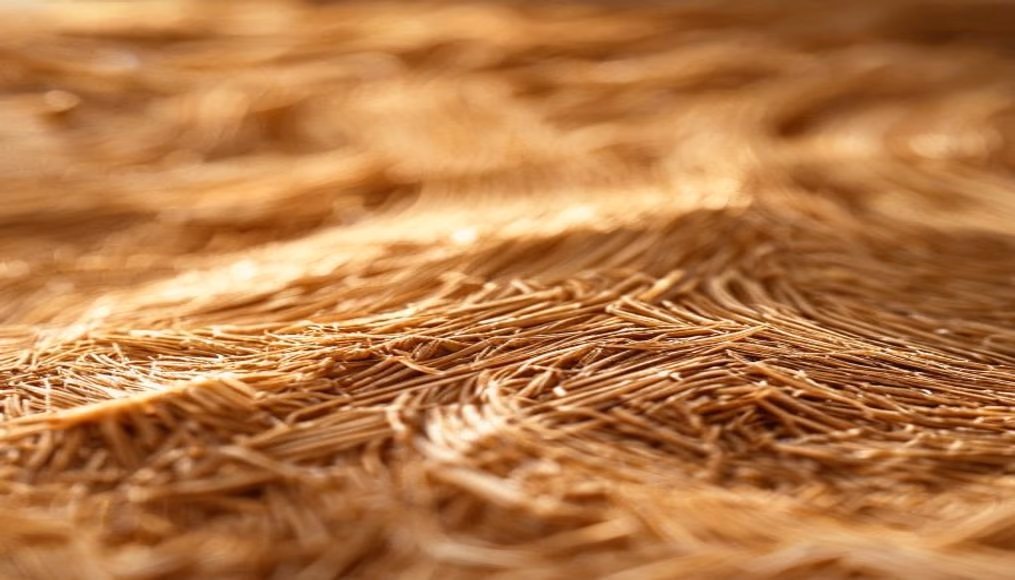 sawdust wood shavings in editorial style