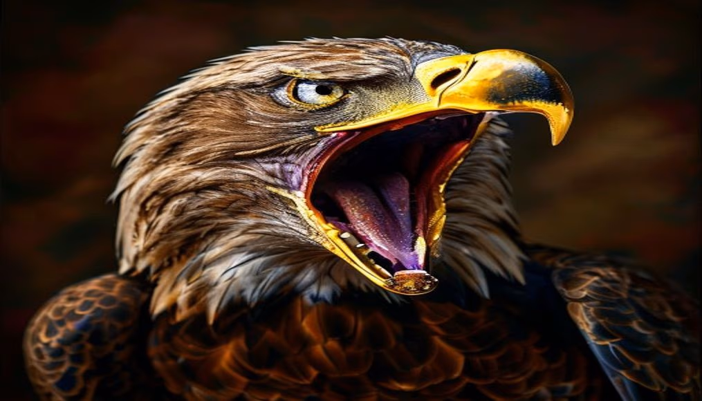 screaming eagle cabernet in luxury editorial photography