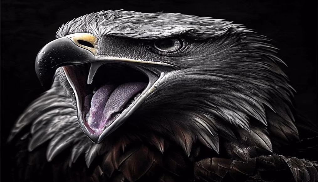 screaming eagle cabernet in luxury editorial photography