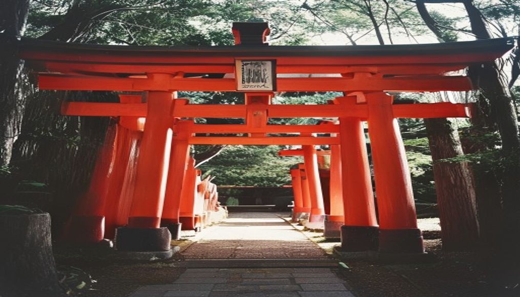 shinto shrine torii red in editorial style