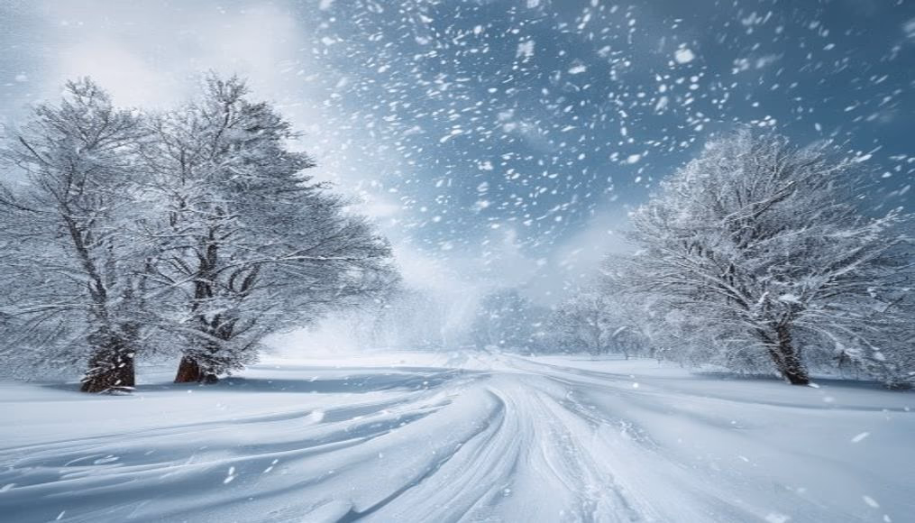 snowstorm blizzard in editorial style