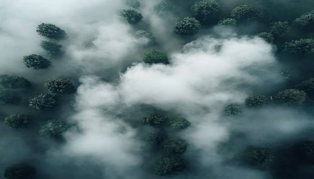 stratus low fog in editorial style