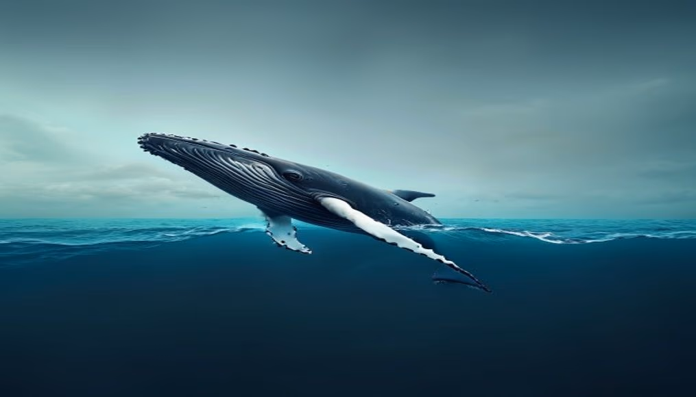 whale tail above ocean in editorial style