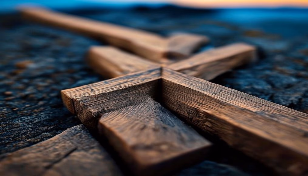 wood joint dovetail in editorial style